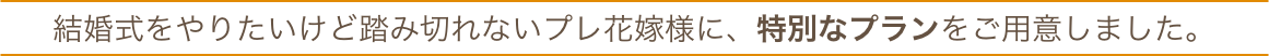 結婚式をやりたいけど踏み切れないプレ花嫁様に特別なプランをしました